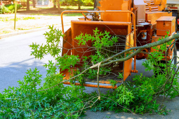 Grass Overseeding in Osceola Mills, PA