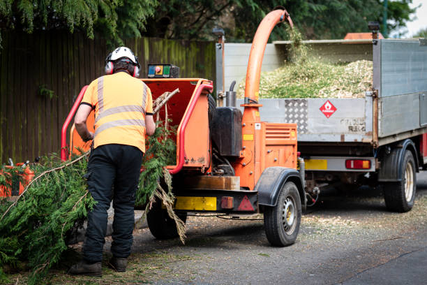 Organic Lawn Care Solutions in Osceola Mills, PA